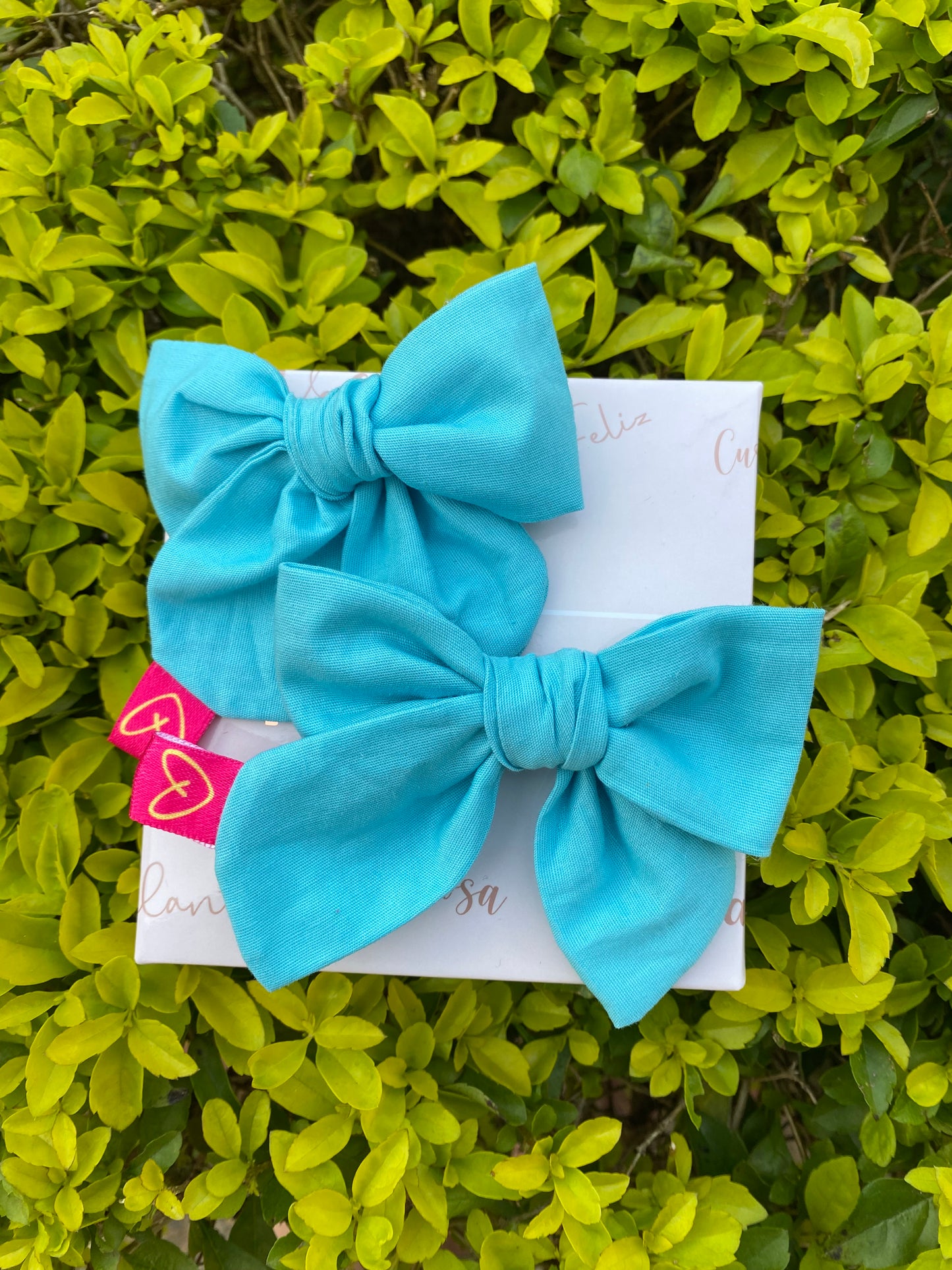 Small Bow coquette