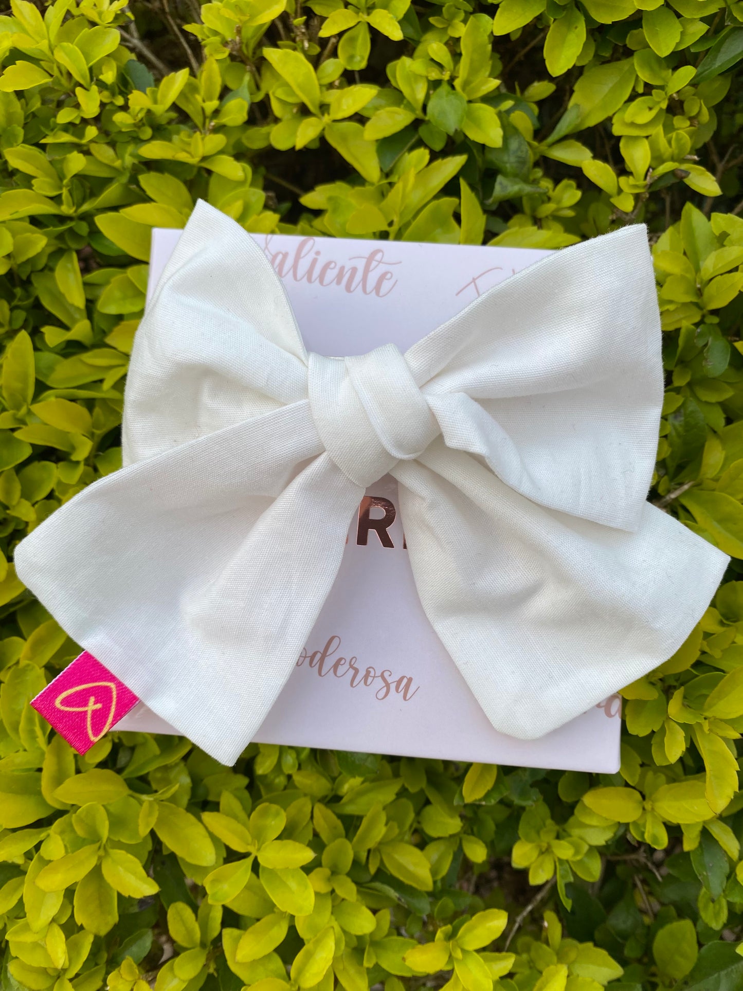 Medium bow coquette